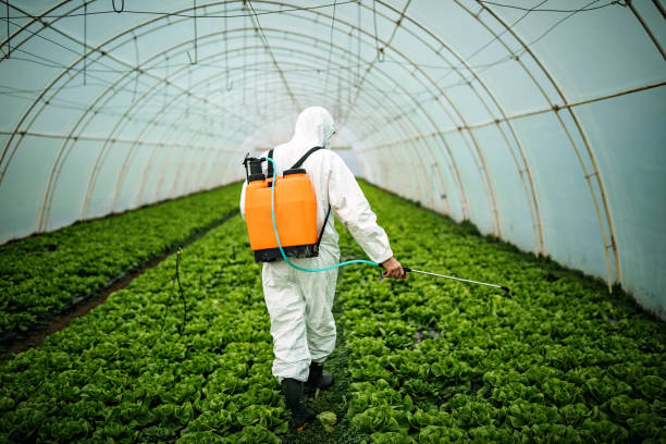 Pest Prevention Services in Twin Rivers, NJ