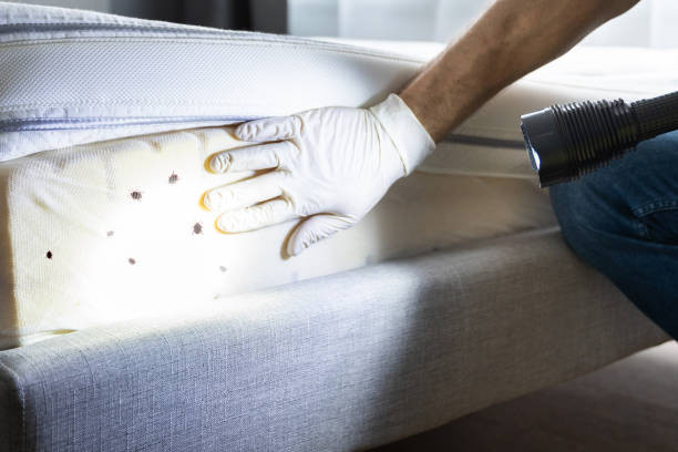 Best Cockroach Control Services  in Twin Rivers, NJ