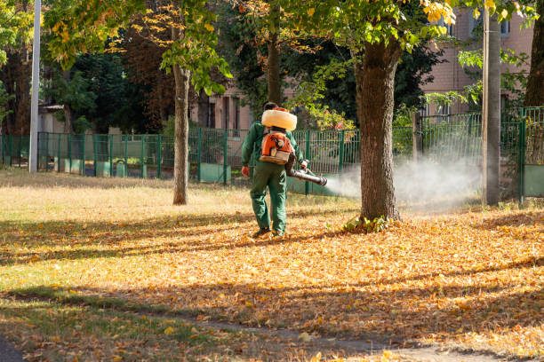 Wildlife Control Services in Twin Rivers, NJ